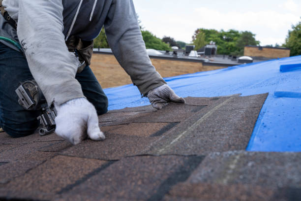 Best Gutter Installation and Roofing  in Booneville, MS