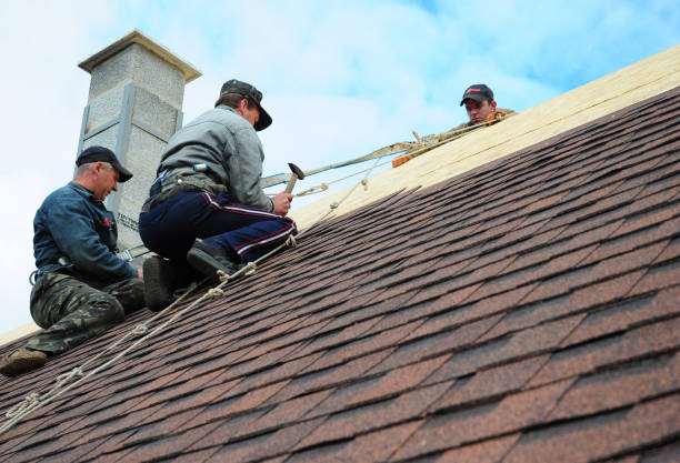 Best Roof Gutter Cleaning  in Booneville, MS